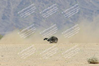 media/Apr-20-2025-CVMA (Sun) [[39090e8767]]/Race 15-Amateur Formula Middleweight/